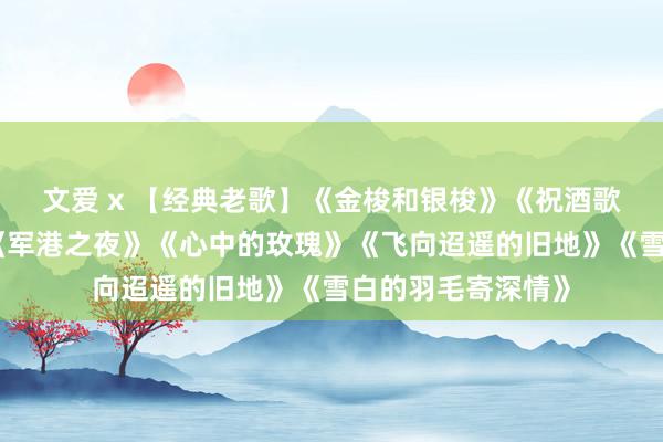 文爱 x 【经典老歌】《金梭和银梭》《祝酒歌》《太阳岛上》《军港之夜》《心中的玫瑰》《飞向迢遥的旧地》《雪白的羽毛寄深情》
