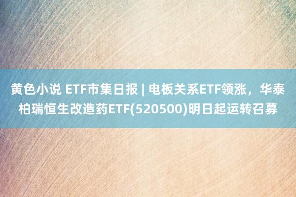 黄色小说 ETF市集日报 | 电板关系ETF领涨，华泰柏瑞恒生改造药ETF(520500)明日起运转召募