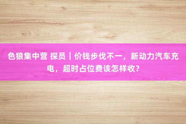 色狼集中营 探员｜价钱步伐不一，新动力汽车充电，超时占位费该怎样收？