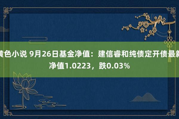 黄色小说 9月26日基金净值：建信睿和纯债定开债最新净值1.0223，跌0.03%