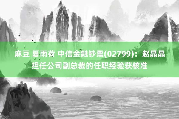 麻豆 夏雨荷 中信金融钞票(02799):赵晶晶担任公司副总裁的任职经验获核准