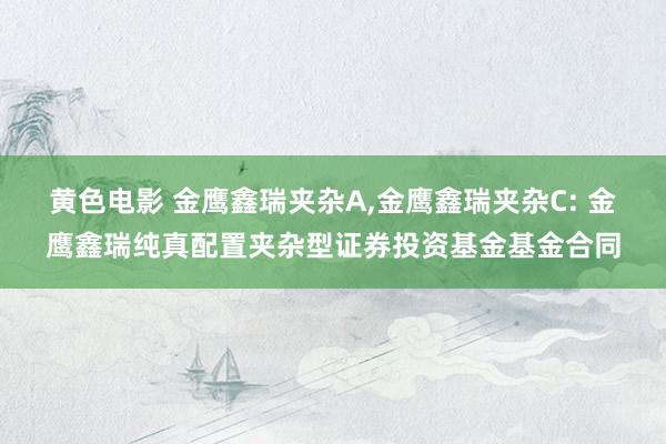 黄色电影 金鹰鑫瑞夹杂A,金鹰鑫瑞夹杂C: 金鹰鑫瑞纯真配置夹杂型证券投资基金基金合同