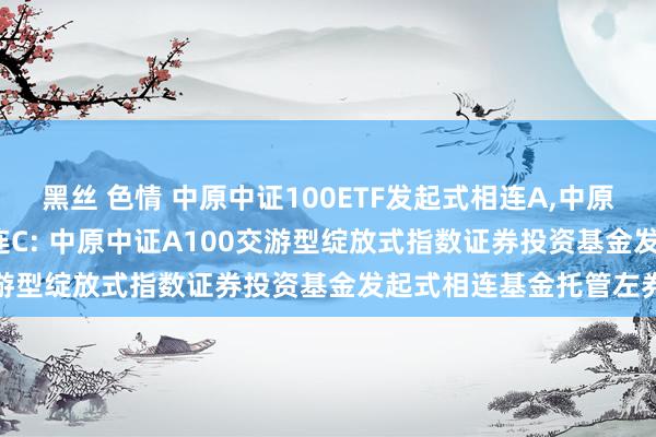 黑丝 色情 中原中证100ETF发起式相连A,中原中证100ETF发起式相连C: 中原中证A100交游型绽放式指数证券投资基金发起式相连基金托管左券