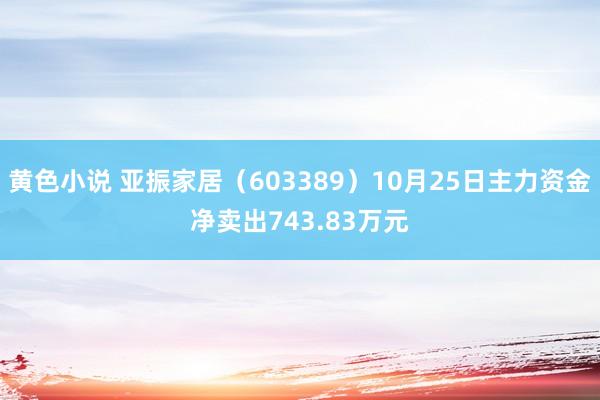黄色小说 亚振家居（603389）10月25日主力资金净卖出743.83万元