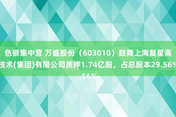 色狼集中营 万盛股份（603010）鼓舞上海复星高技术(集团)有限公司质押1.74亿股，占总股本29.56%