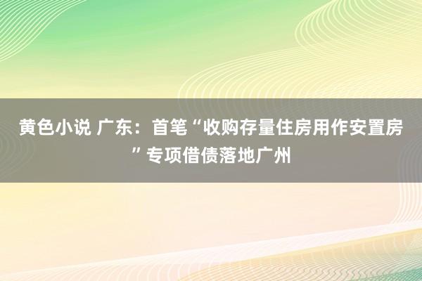 黄色小说 广东：首笔“收购存量住房用作安置房”专项借债落地广州