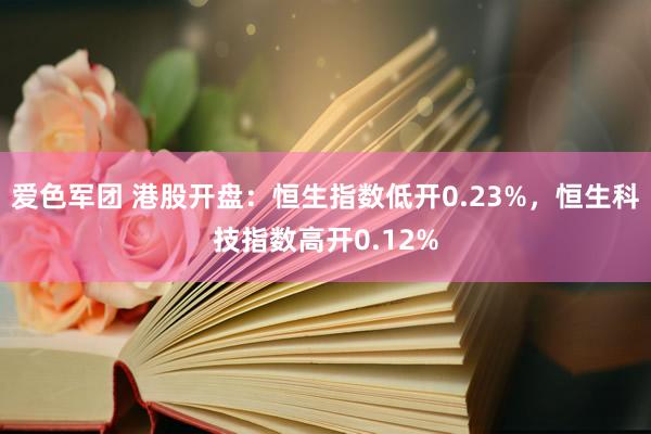爱色军团 港股开盘：恒生指数低开0.23%，恒生科技指数高开0.12%