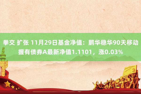 拳交 扩张 11月29日基金净值：鹏华稳华90天移动握有债券A最新净值1.1101，涨0.03%