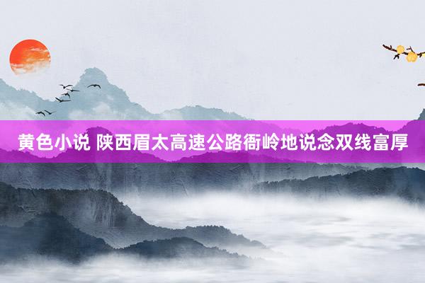 黄色小说 陕西眉太高速公路衙岭地说念双线富厚
