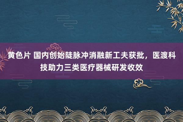 黄色片 国内创始陡脉冲消融新工夫获批，医渡科技助力三类医疗器械研发收效
