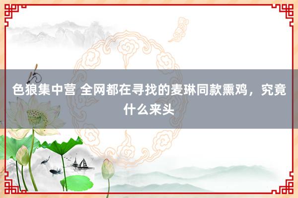 色狼集中营 全网都在寻找的麦琳同款熏鸡，究竟什么来头