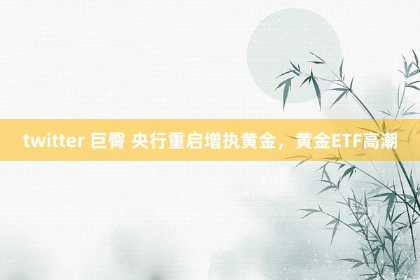 twitter 巨臀 央行重启增执黄金，黄金ETF高潮