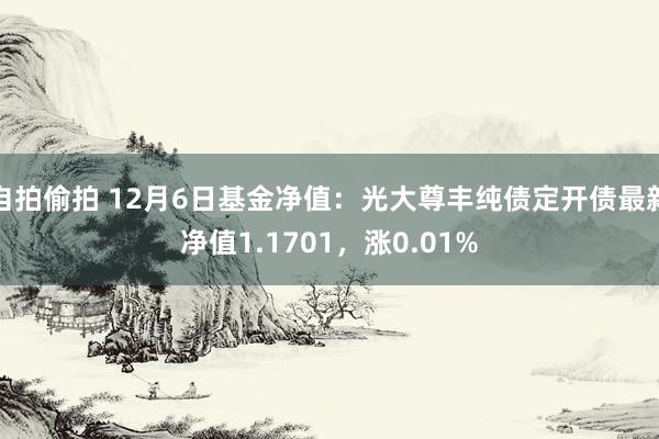 自拍偷拍 12月6日基金净值：光大尊丰纯债定开债最新净值1.1701，涨0.01%