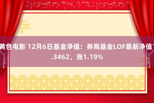 黄色电影 12月6日基金净值：券商基金LOF最新净值1.3462，涨1.19%