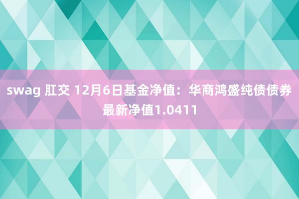 swag 肛交 12月6日基金净值：华商鸿盛纯债债券最新净值1.0411