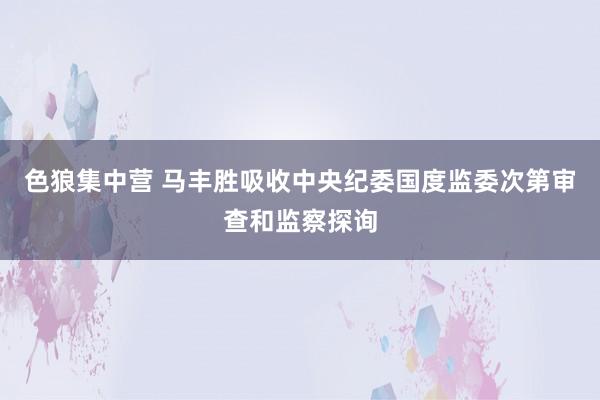 色狼集中营 马丰胜吸收中央纪委国度监委次第审查和监察探询