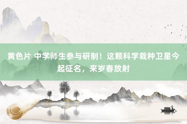 黄色片 中学师生参与研制！这颗科学栽种卫星今起征名，来岁春放射