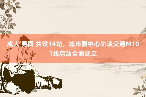 成人 男同 共设14站，城市副中心轨谈交通M101线启动全面成立