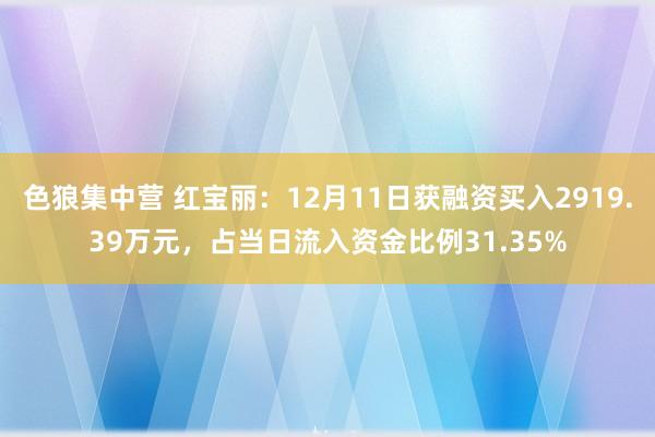 色狼集中营 红宝丽：12月11日获融资买入2919.39万元，占当日流入资金比例31.35%