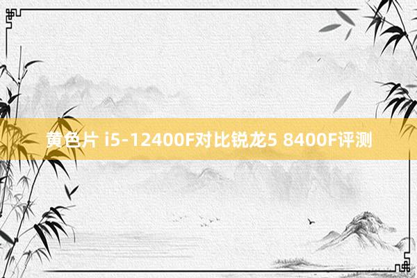 黄色片 i5-12400F对比锐龙5 8400F评测