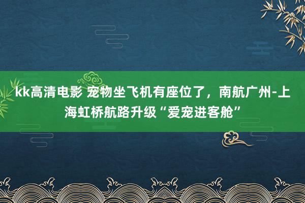 kk高清电影 宠物坐飞机有座位了，南航广州-上海虹桥航路升级“爱宠进客舱”