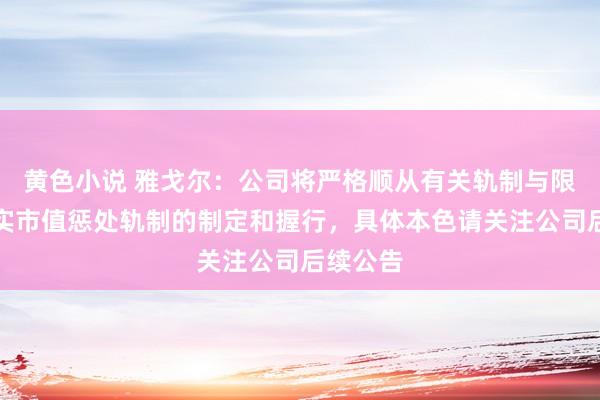 黄色小说 雅戈尔：公司将严格顺从有关轨制与限定，落实市值惩处轨制的制定和握行，具体本色请关注公司后续公告