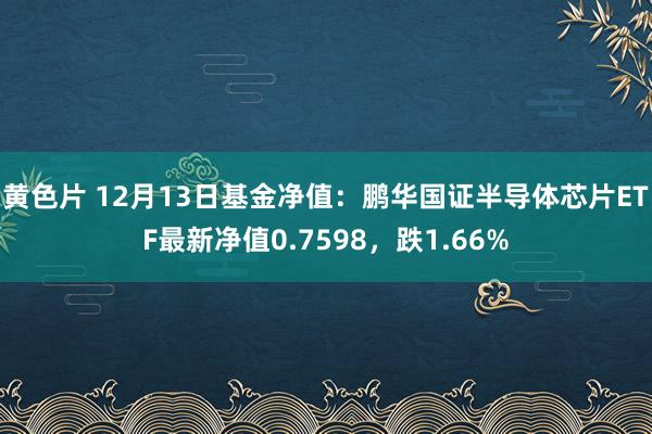黄色片 12月13日基金净值：鹏华国证半导体芯片ETF最新净值0.7598，跌1.66%