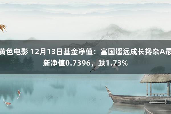 黄色电影 12月13日基金净值：富国遥远成长搀杂A最新净值0.7396，跌1.73%