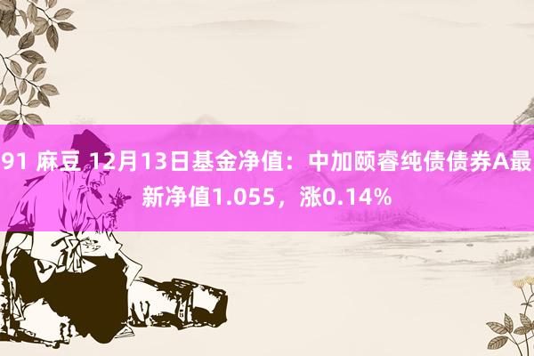 91 麻豆 12月13日基金净值：中加颐睿纯债债券A最新净值1.055，涨0.14%