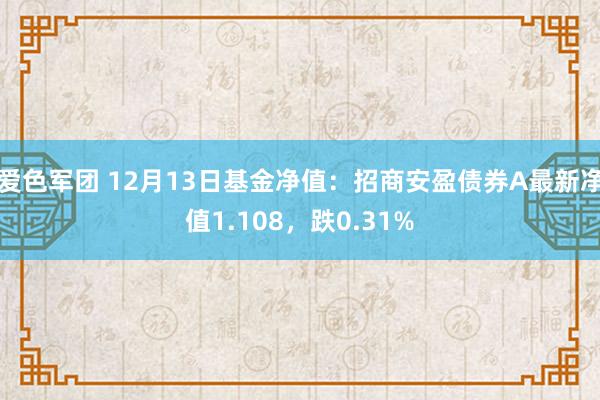 爱色军团 12月13日基金净值：招商安盈债券A最新净值1.108，跌0.31%