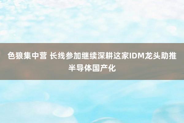 色狼集中营 长线参加继续深耕这家IDM龙头助推半导体国产化