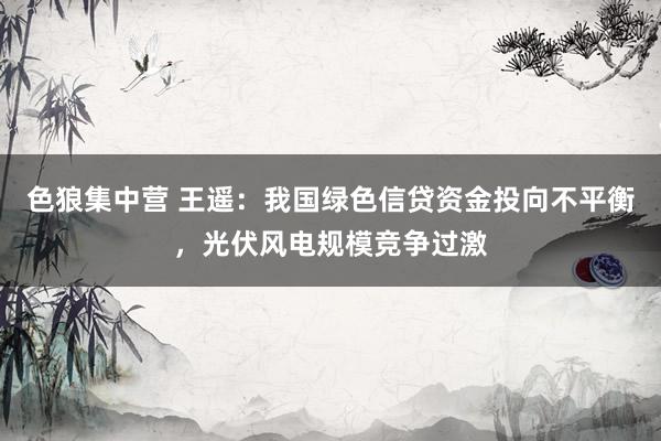 色狼集中营 王遥：我国绿色信贷资金投向不平衡，光伏风电规模竞争过激