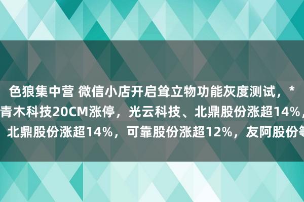 色狼集中营 微信小店开启耸立物功能灰度测试，*ST有树、电声股份、青木科技20CM涨停，光云科技、北鼎股份涨超14%，可靠股份涨超12%，友阿股份等涨停