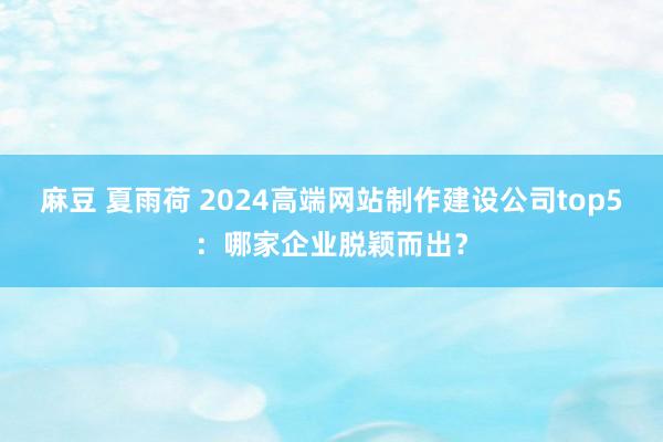 麻豆 夏雨荷 2024高端网站制作建设公司top5：哪家企业脱颖而出？