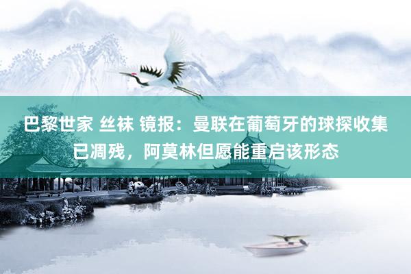 巴黎世家 丝袜 镜报：曼联在葡萄牙的球探收集已凋残，阿莫林但愿能重启该形态