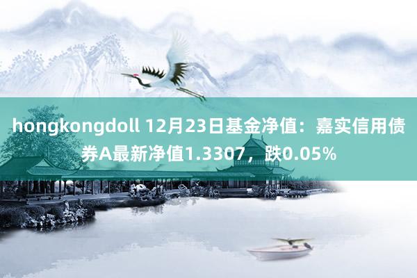 hongkongdoll 12月23日基金净值：嘉实信用债券A最新净值1.3307，跌0.05%