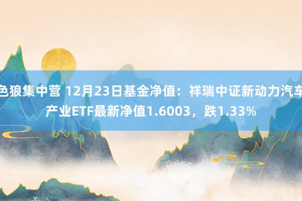 色狼集中营 12月23日基金净值：祥瑞中证新动力汽车产业ETF最新净值1.6003，跌1.33%