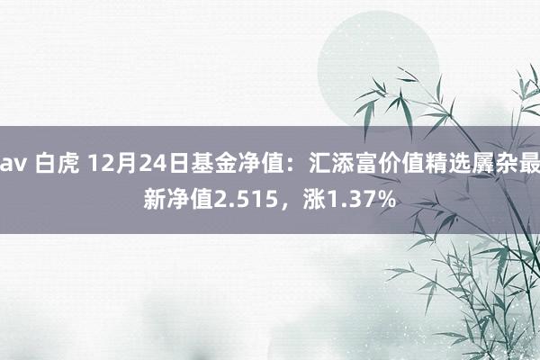 av 白虎 12月24日基金净值：汇添富价值精选羼杂最新净值2.515，涨1.37%