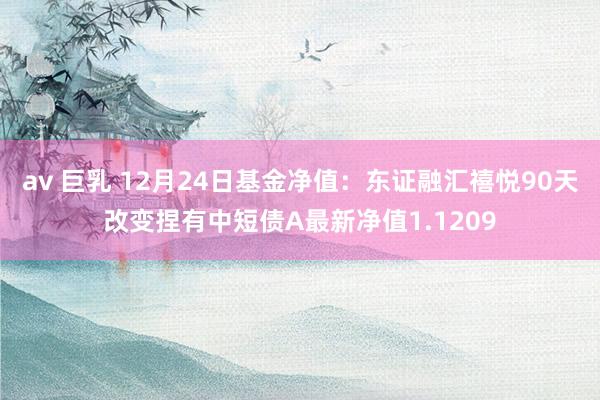 av 巨乳 12月24日基金净值：东证融汇禧悦90天改变捏有中短债A最新净值1.1209