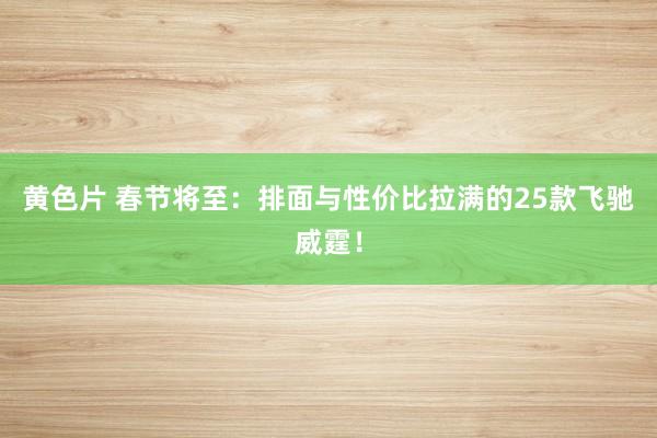 黄色片 春节将至：排面与性价比拉满的25款飞驰威霆！