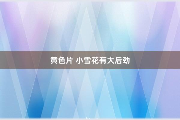 黄色片 小雪花有大后劲