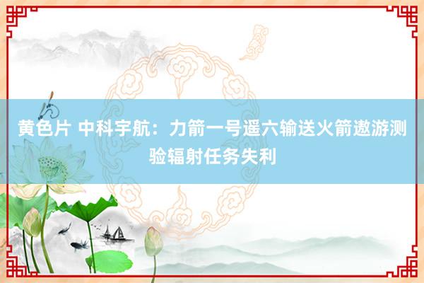 黄色片 中科宇航：力箭一号遥六输送火箭遨游测验辐射任务失利