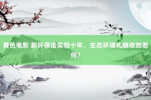 黄色电影 新环保法实验十年，生态环境礼貌收效若何？