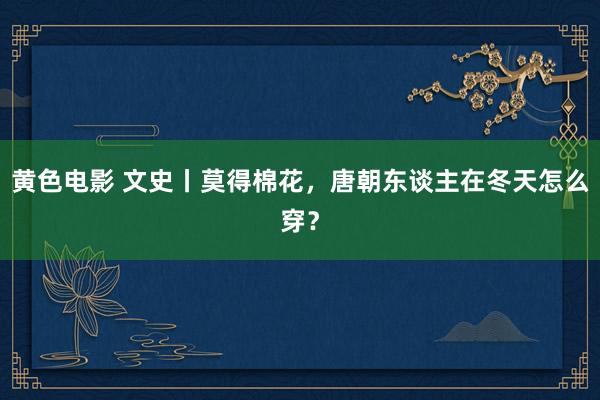 黄色电影 文史丨莫得棉花，唐朝东谈主在冬天怎么穿？