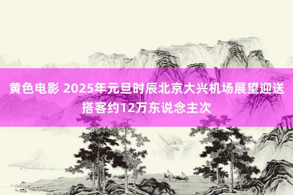 黄色电影 2025年元旦时辰北京大兴机场展望迎送搭客约12万东说念主次