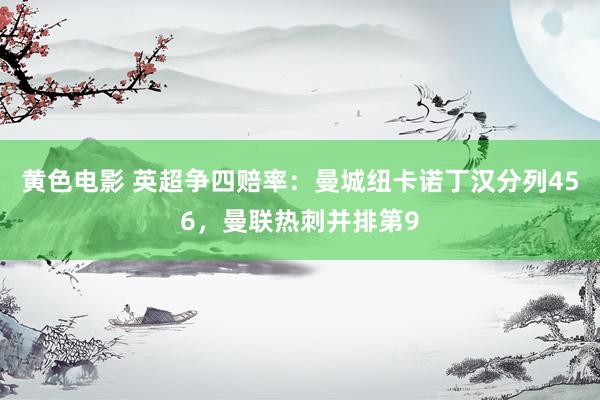 黄色电影 英超争四赔率：曼城纽卡诺丁汉分列456，曼联热刺并排第9