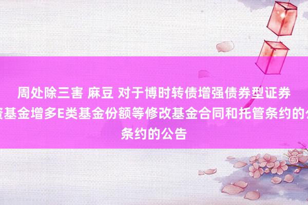 周处除三害 麻豆 对于博时转债增强债券型证券投资基金增多E类基金份额等修改基金合同和托管条约的公告