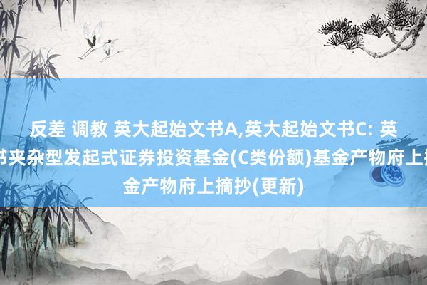 反差 调教 英大起始文书A,英大起始文书C: 英大起始文书夹杂型发起式证券投资基金(C类份额)基金产物府上摘抄(更新)