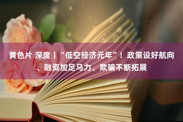 黄色片 深度丨“低空经济元年”！政策设好航向、融资加足马力、欺骗不断拓展