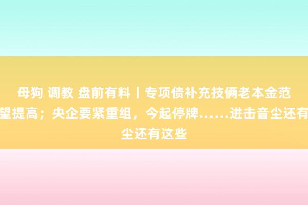 母狗 调教 盘前有料丨专项债补充技俩老本金范畴有望提高；央企要紧重组，今起停牌……进击音尘还有这些